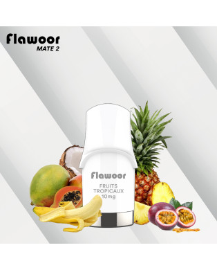 Cartouches Fruits Tropicaux - FLAWOOR MATE 2